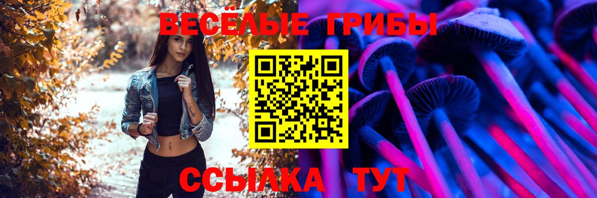 Таганрог  Галлюциногенные грибы Cubensis  Вход с VPN 